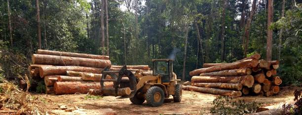 Mulching Services in Glenville, WV